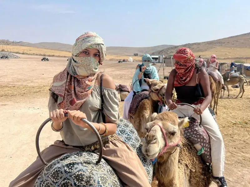 Quad or camel ride in Agafay